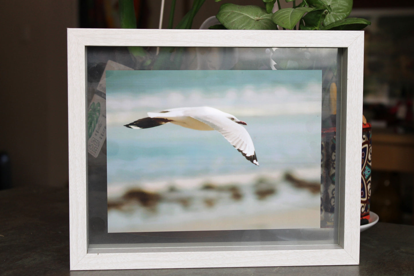 'Fly Bird' Print